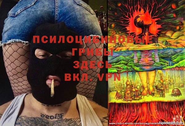 PSILOCYBIN Белокуриха