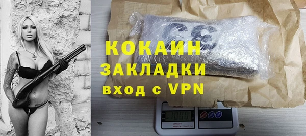 PSILOCYBIN Белокуриха