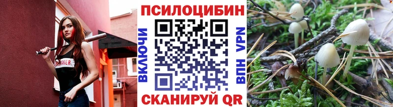 Псилоцибиновые грибы Psilocybine cubensis  купить наркоту  МЕГА ТОР  Краснознаменск 